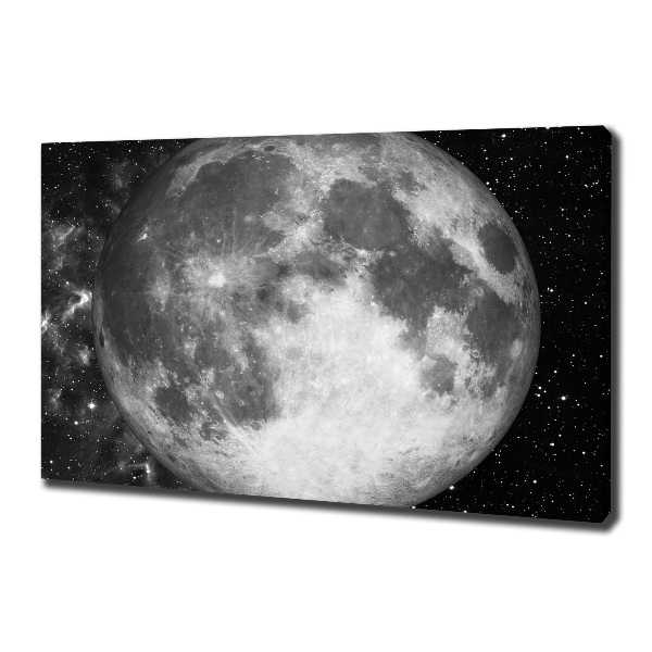 Canvas wall art Moon