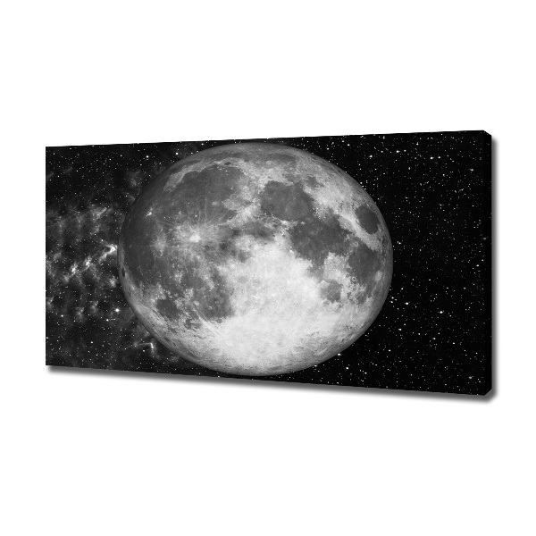 Canvas wall art Moon