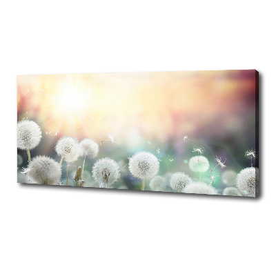 Canvas wall art Dandelis pole