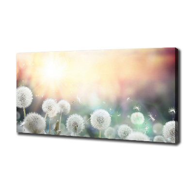 Canvas wall art Dandelis pole