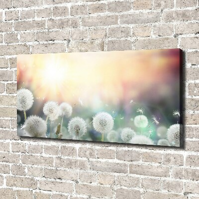 Canvas wall art Dandelis pole