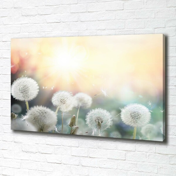 Canvas wall art Dandelis pole