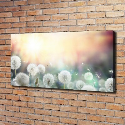 Canvas wall art Dandelis pole