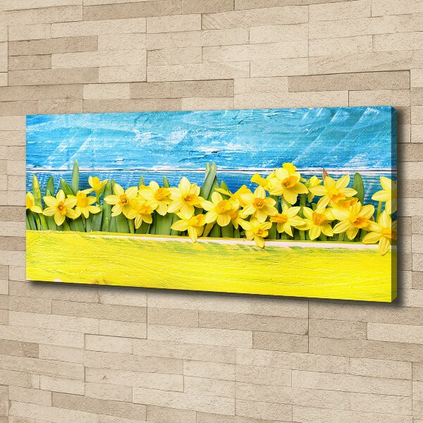 Canvas wall art Daffodil