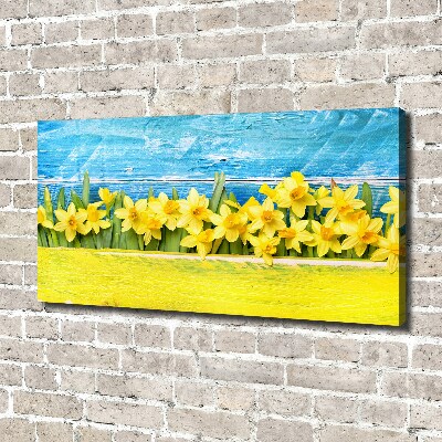 Canvas wall art Daffodil