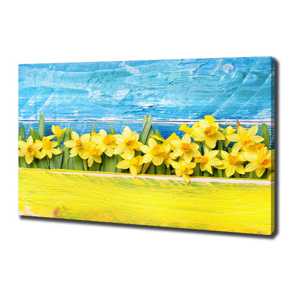 Canvas wall art Daffodil