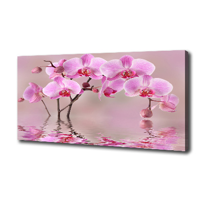 Canvas wall art Pink orchid