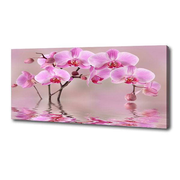 Canvas wall art Pink orchid