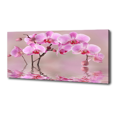 Canvas wall art Pink orchid