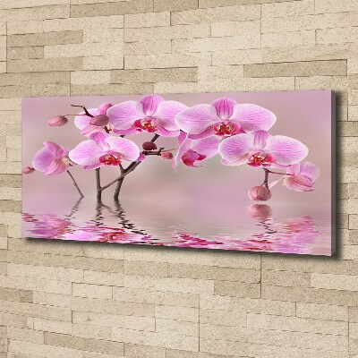 Canvas wall art Pink orchid