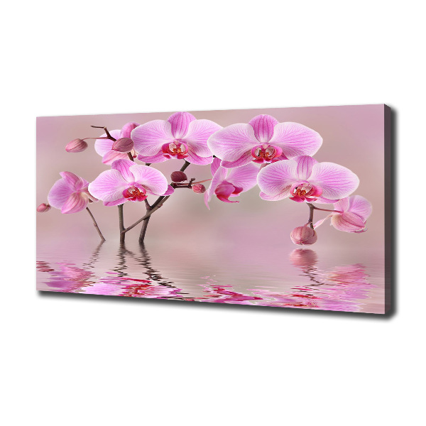 Canvas wall art Pink orchid