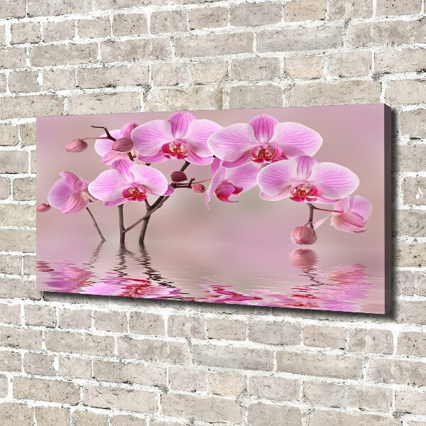 Canvas wall art Pink orchid