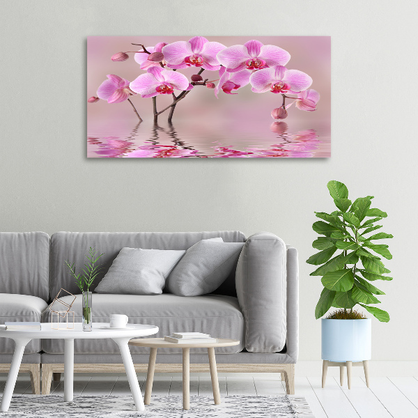 Canvas wall art Pink orchid