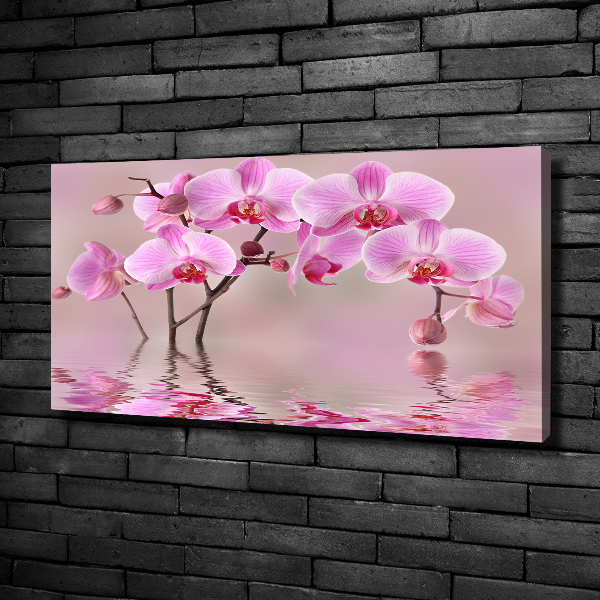 Canvas wall art Pink orchid