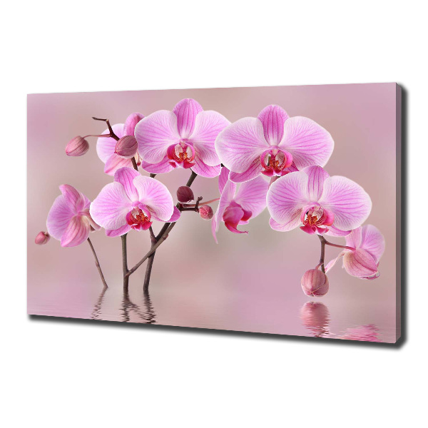 Canvas wall art Pink orchid