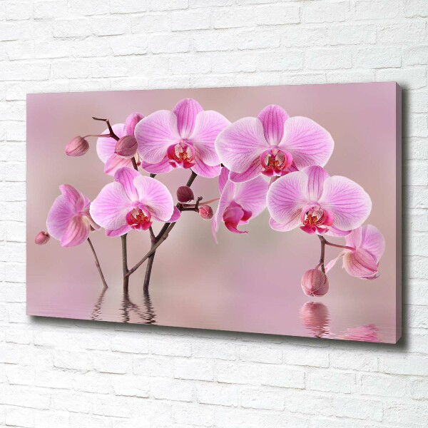 Canvas wall art Pink orchid