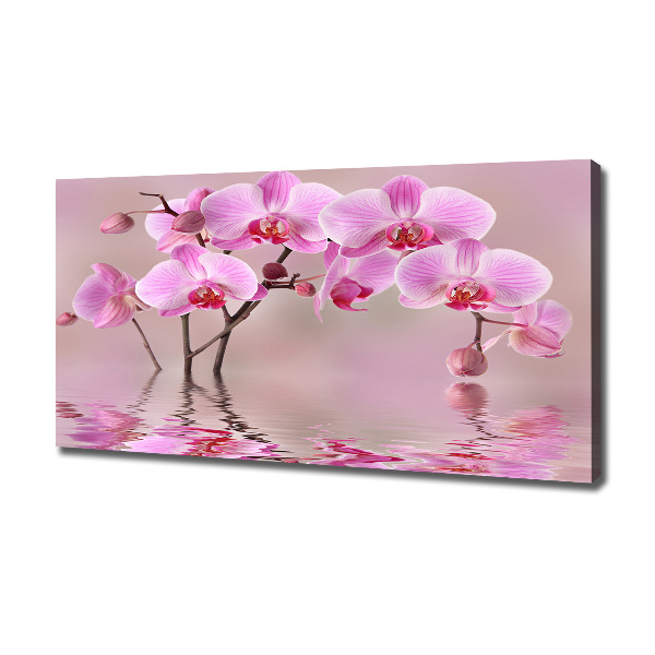 Canvas wall art Pink orchid