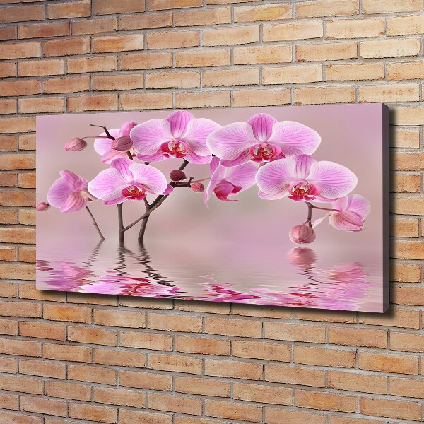 Canvas wall art Pink orchid