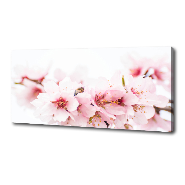 Canvas wall art Cherry blossoms