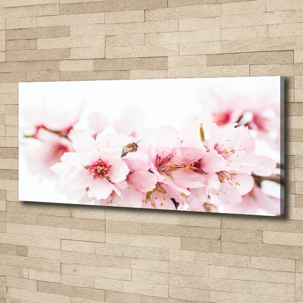 Canvas wall art Cherry blossoms