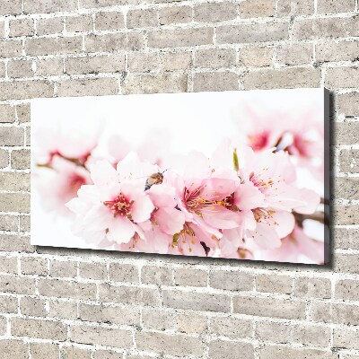 Canvas wall art Cherry blossoms