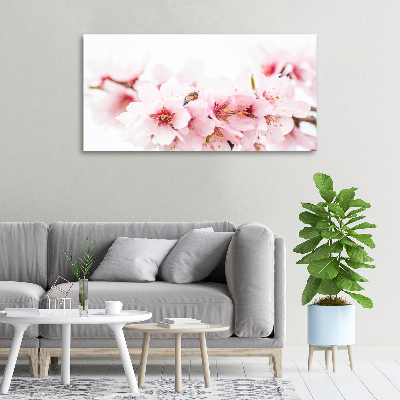 Canvas wall art Cherry blossoms