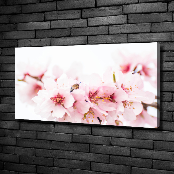 Canvas wall art Cherry blossoms