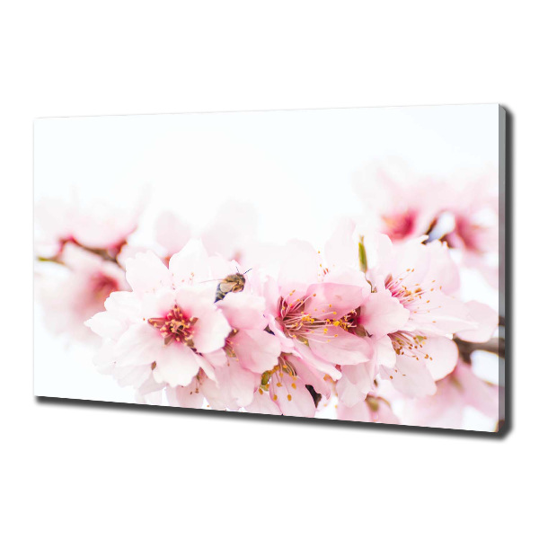 Canvas wall art Cherry blossoms