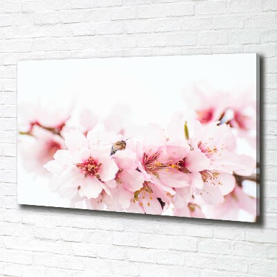 Canvas wall art Cherry blossoms