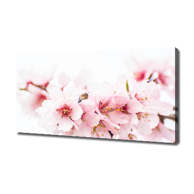 Canvas wall art Cherry blossoms