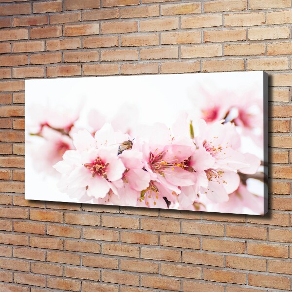 Canvas wall art Cherry blossoms