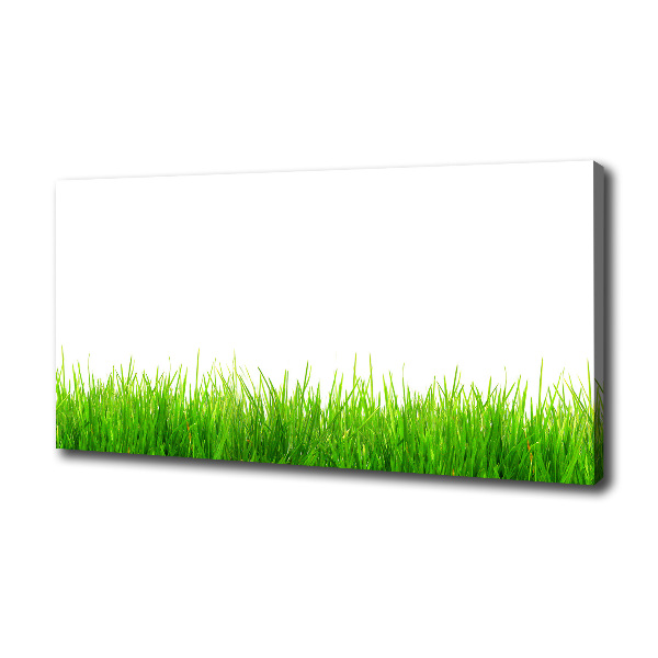 Canvas wall art Grass