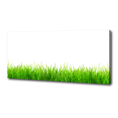 Canvas wall art Grass