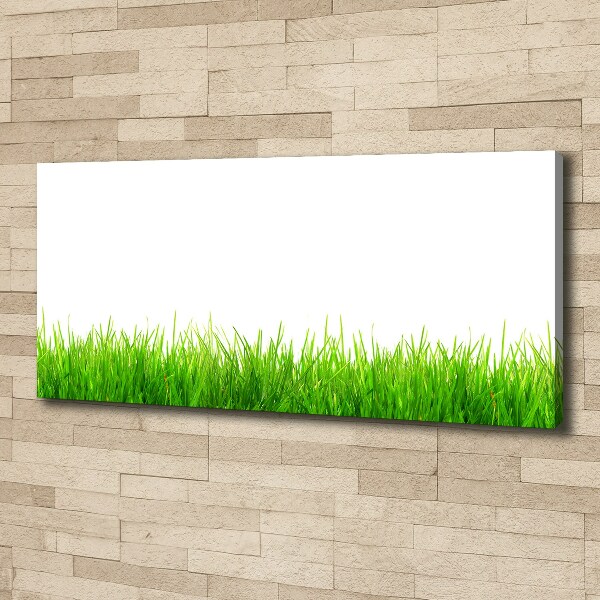 Canvas wall art Grass