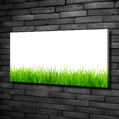 Canvas wall art Grass