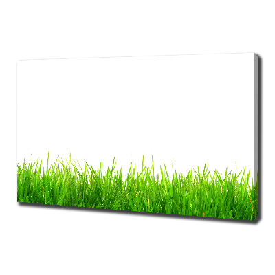 Canvas wall art Grass