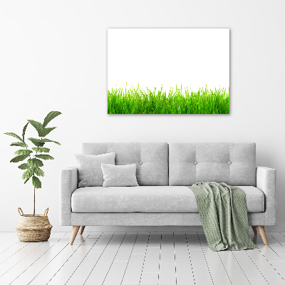 Canvas wall art Grass