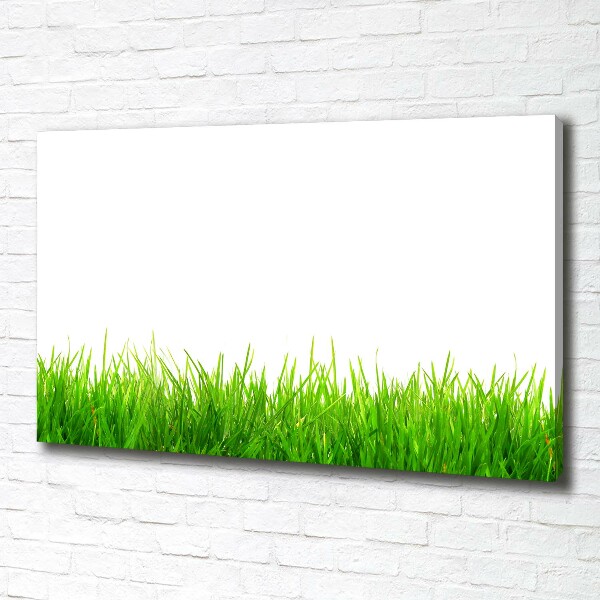 Canvas wall art Grass