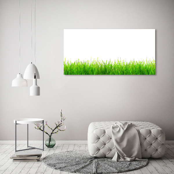 Canvas wall art Grass