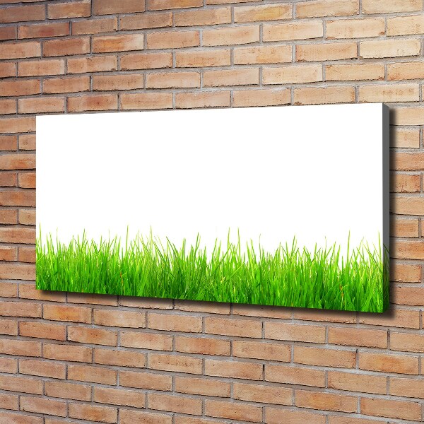 Canvas wall art Grass