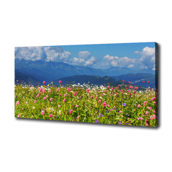 Canvas wall art Meadow in the mountains