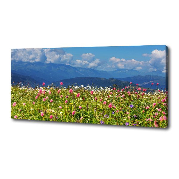 Canvas wall art Meadow in the mountains