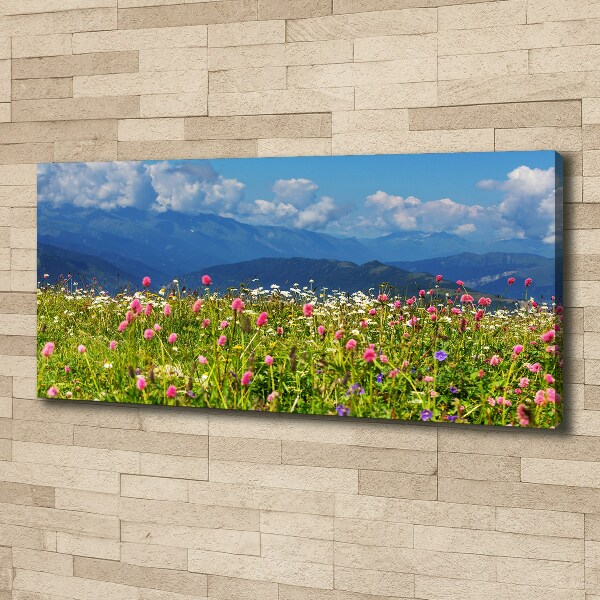 Canvas wall art Meadow in the mountains