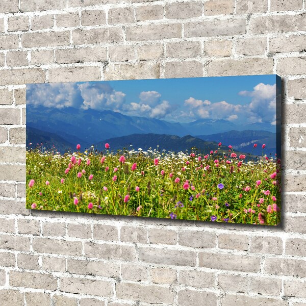 Canvas wall art Meadow in the mountains