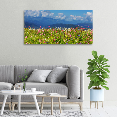 Canvas wall art Meadow in the mountains