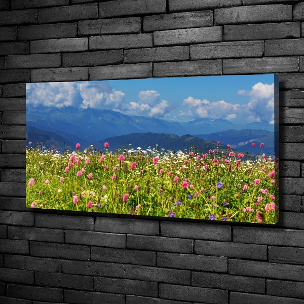 Canvas wall art Meadow in the mountains