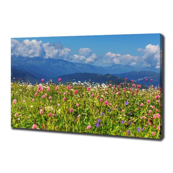 Canvas wall art Meadow in the mountains