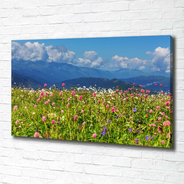 Canvas wall art Meadow in the mountains