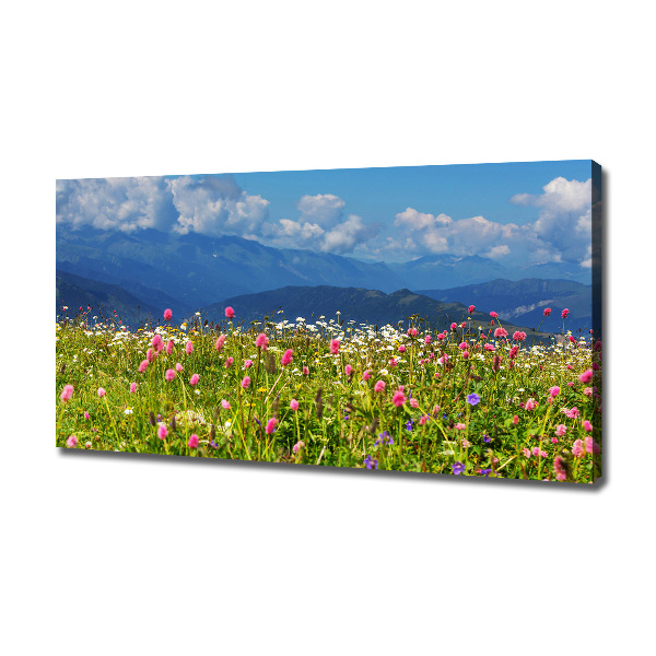 Canvas wall art Meadow in the mountains