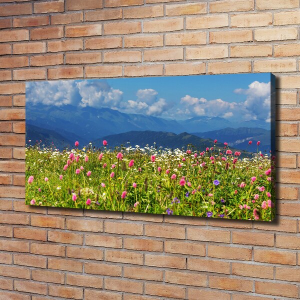 Canvas wall art Meadow in the mountains